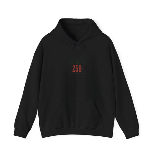 America 250 Anniversary Hoodie | 4th of July Patriotic Milestone
