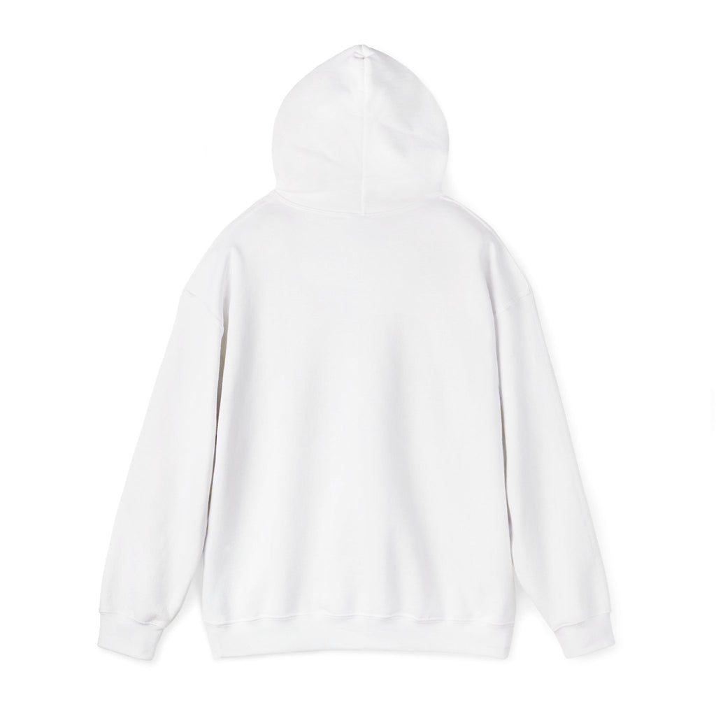 America 250 Anniversary Hoodie | 4th of July Patriotic Milestone