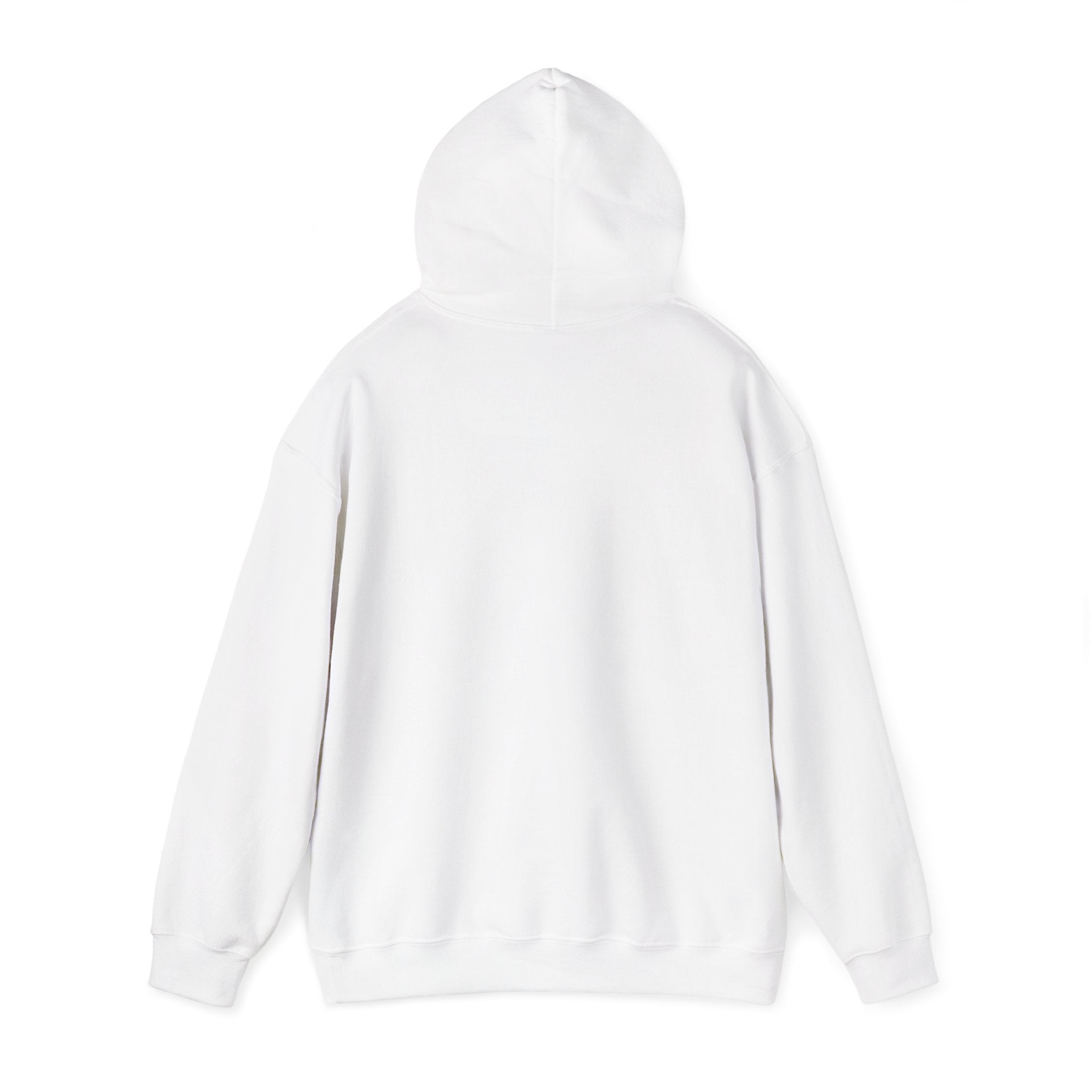 America 250 Anniversary Hoodie | 4th of July Patriotic Milestone