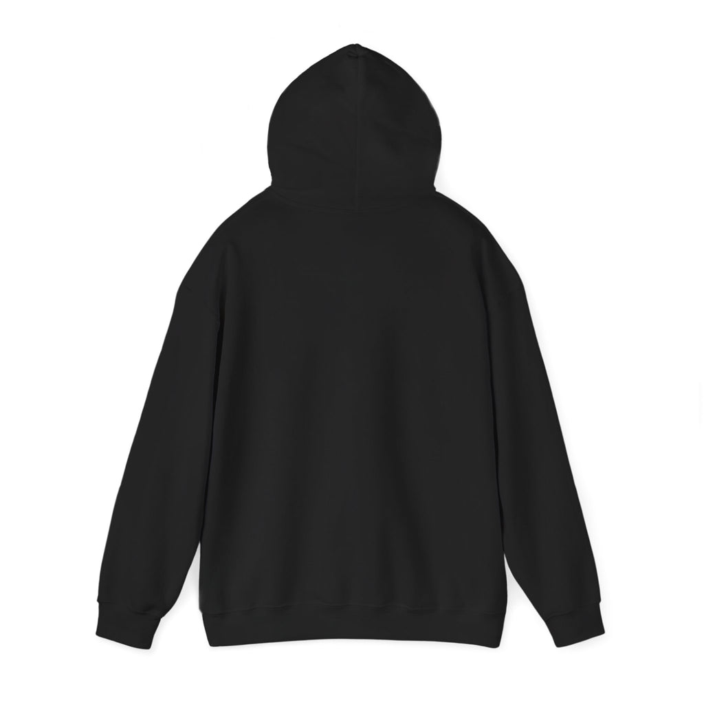 America 250 Anniversary Hoodie | 4th of July Patriotic Milestone