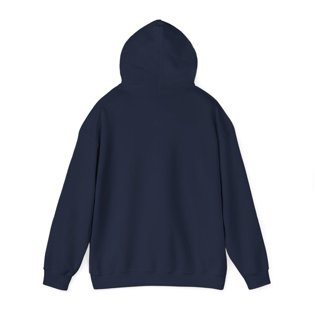 America 250 Anniversary Hoodie | 4th of July Patriotic Milestone