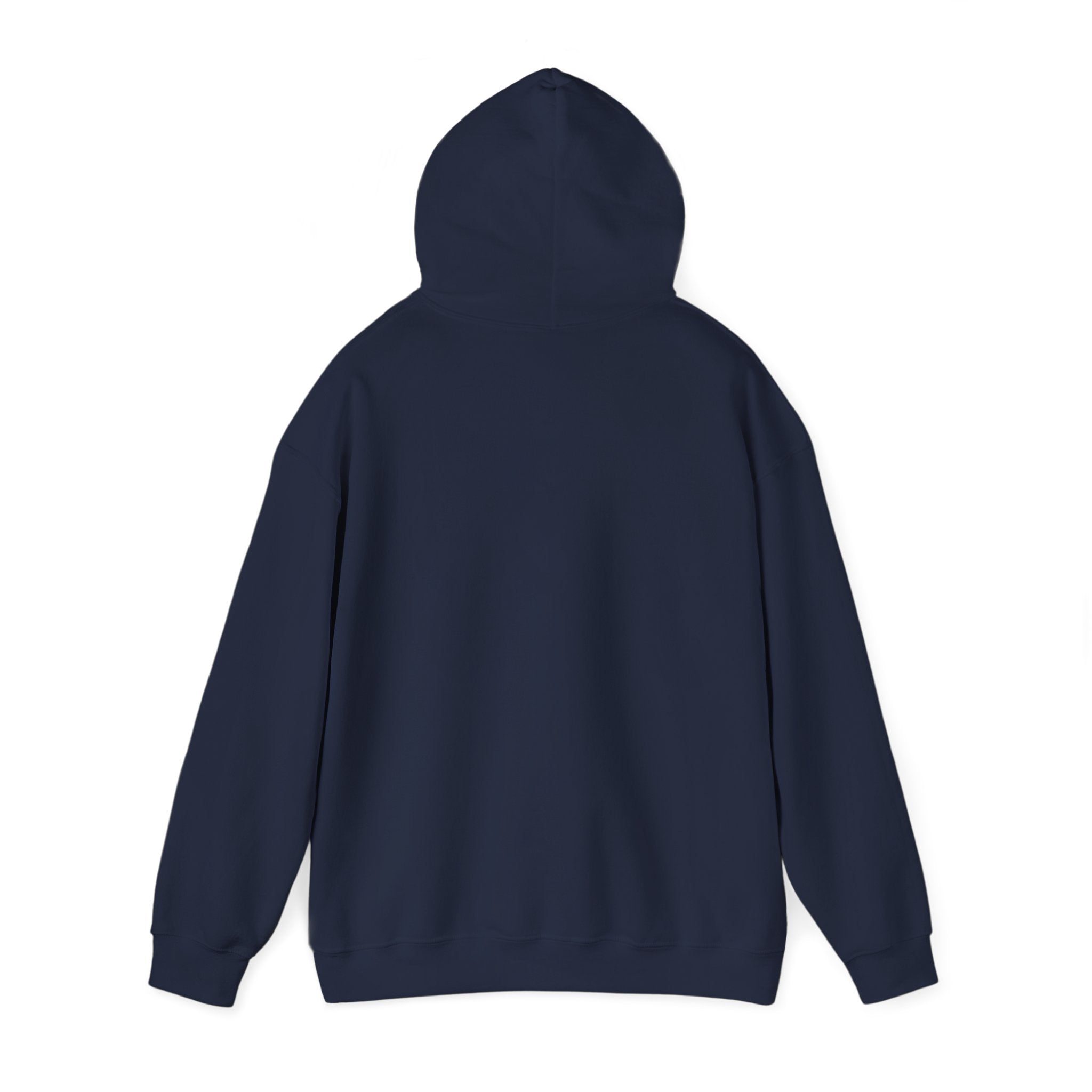 America 250 Anniversary Hoodie | 4th of July Patriotic Milestone