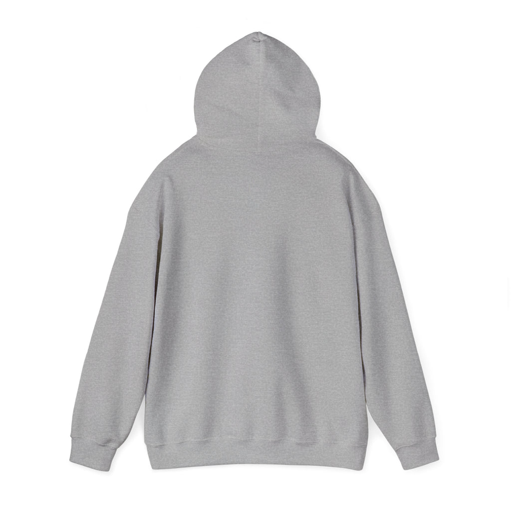 America 250 Anniversary Hoodie | 4th of July Patriotic Milestone
