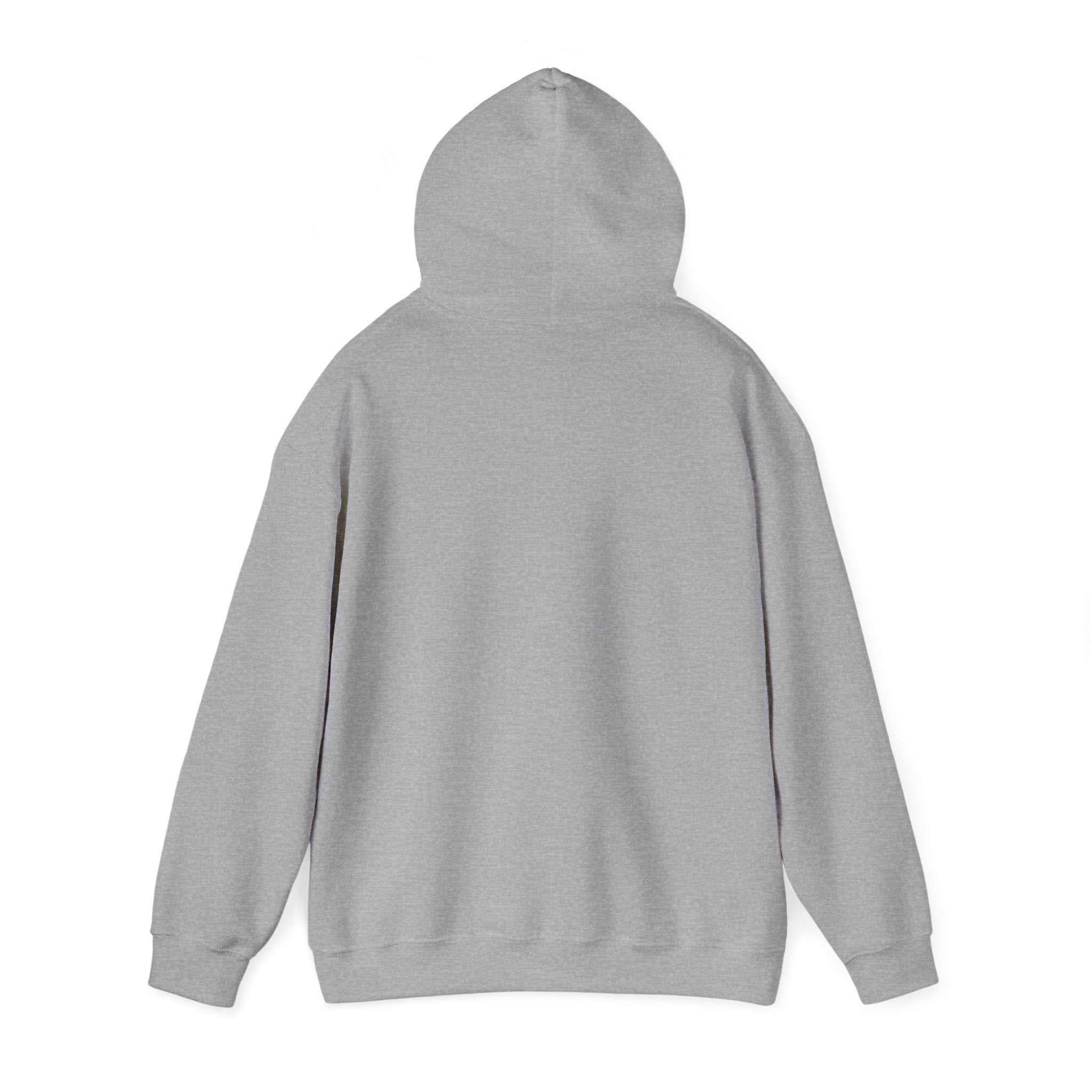 America 250 Anniversary Hoodie | 4th of July Patriotic Milestone