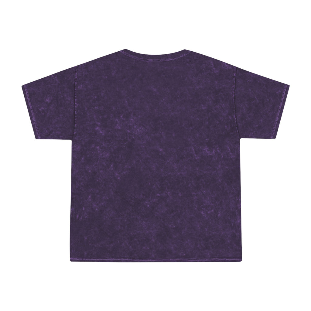 Vintage American Flag T-Shirt — "United" Mineral Wash Tee
