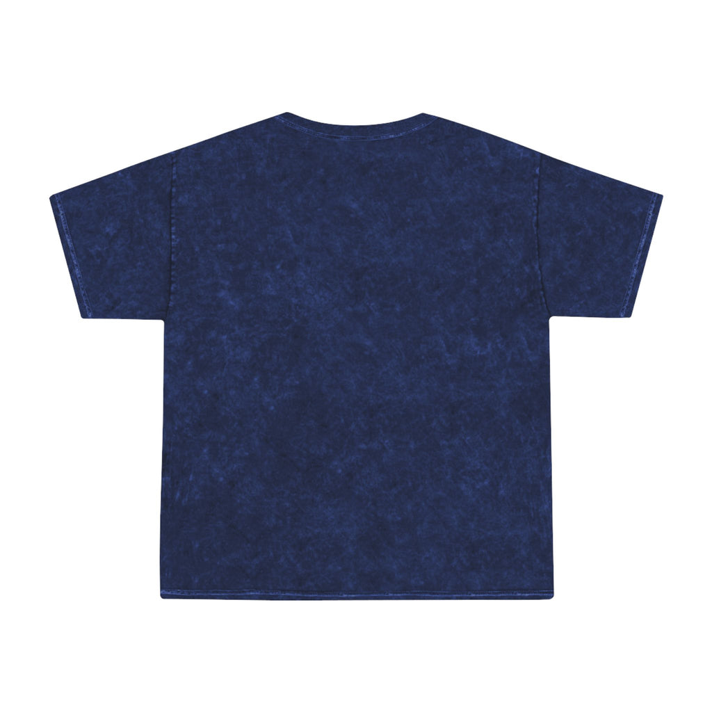 Vintage American Flag T-Shirt — "United" Mineral Wash Tee
