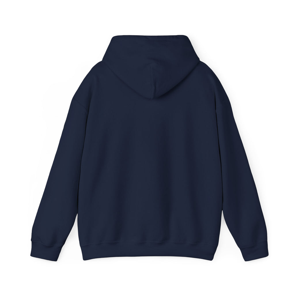 America 250 Anniversary Hoodie | 4th of July Patriotic Milestone