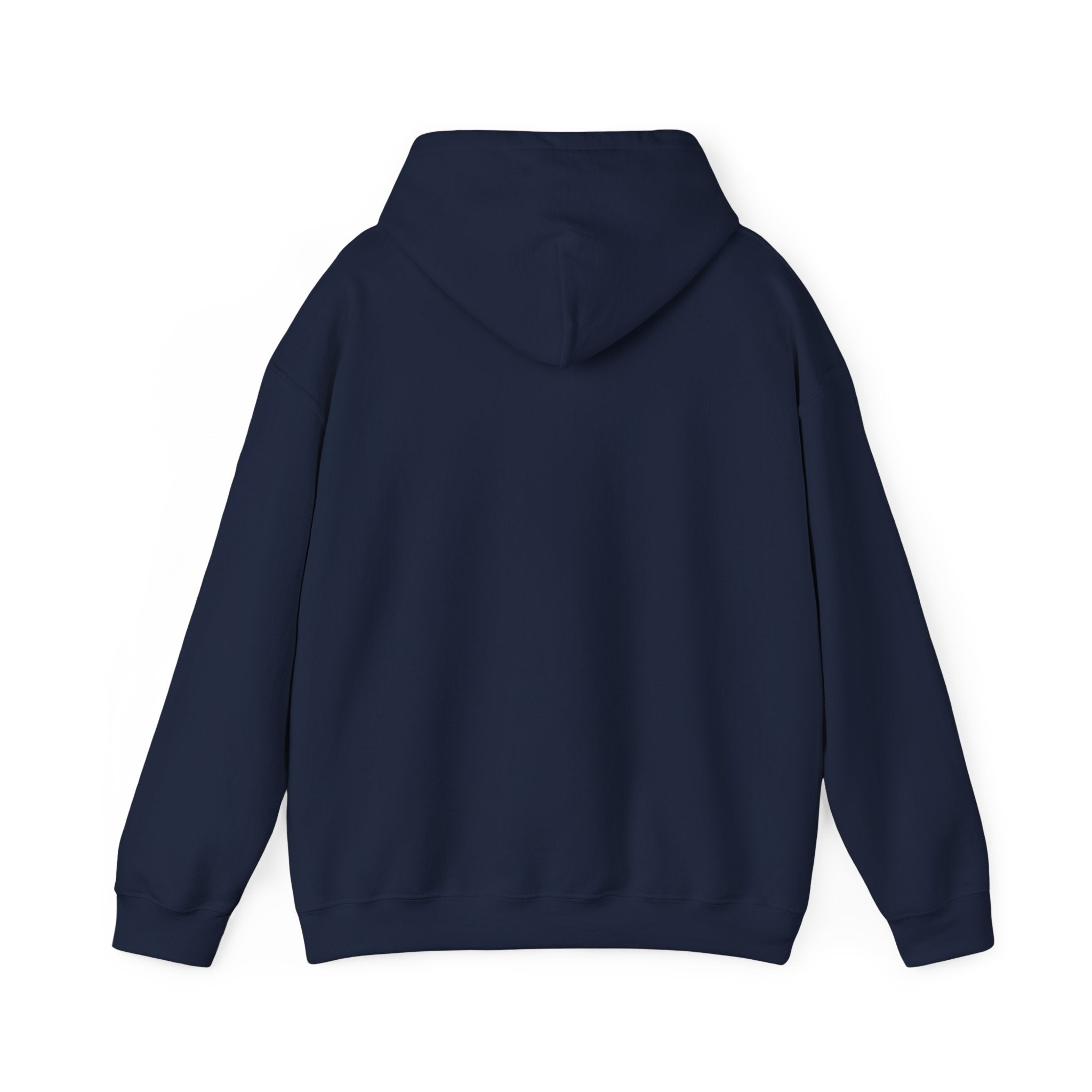 America 250 Anniversary Hoodie | 4th of July Patriotic Milestone