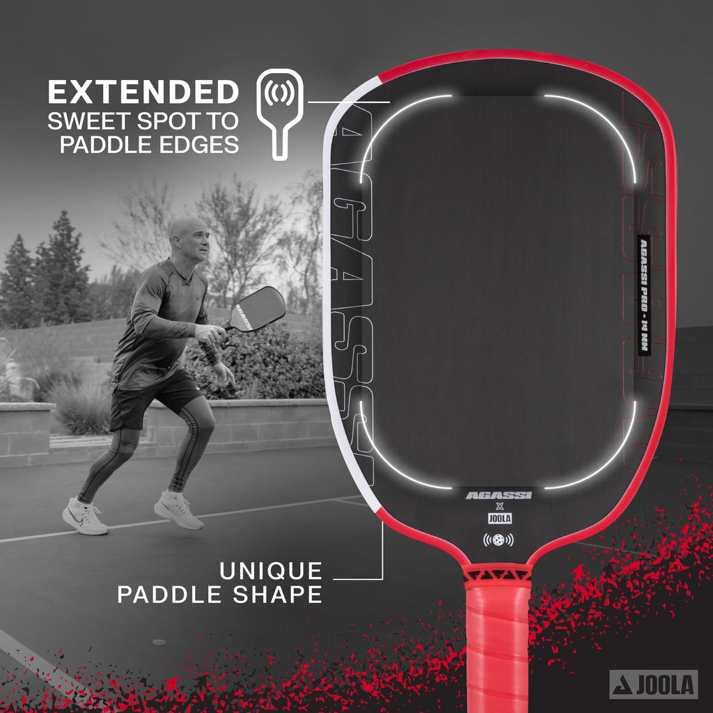 JOOLA Pickleball Paddle Pro IV professional paddle USAP certified