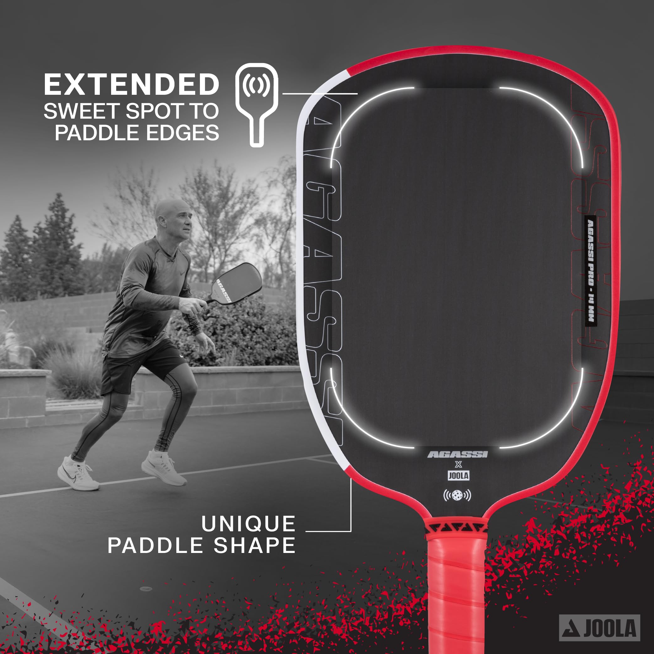 JOOLA Pickleball Paddle Pro IV professional paddle USAP certified