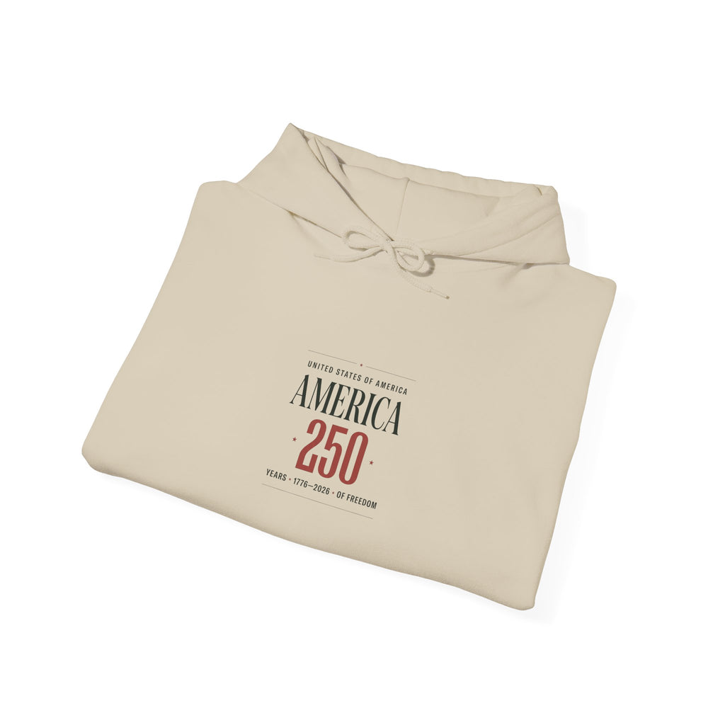 America 250 Anniversary Hoodie | 4th of July Patriotic Milestone